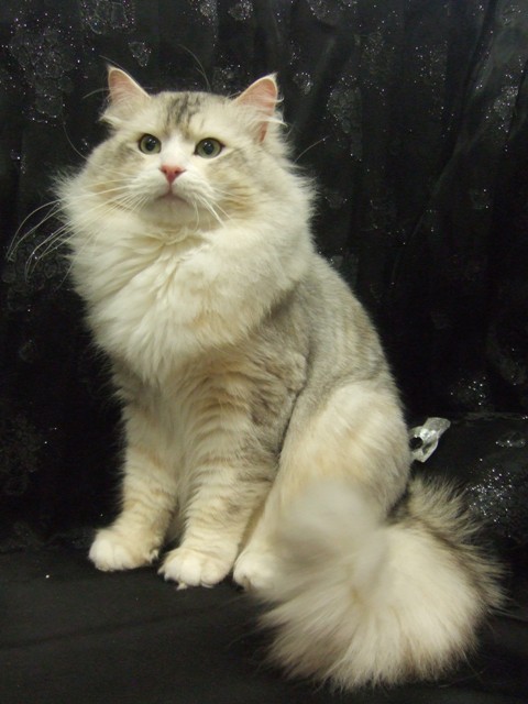 Mishka Mar 08
