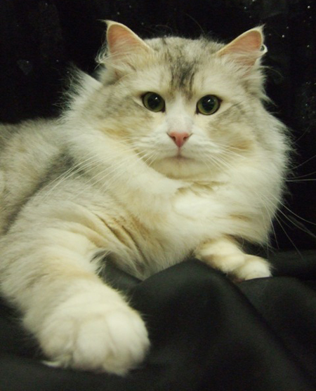 Mishka Mar 08